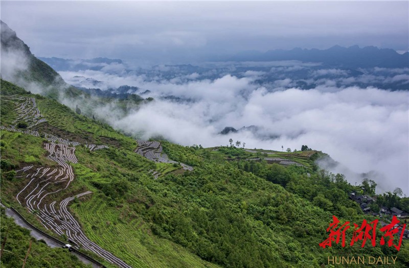 初夏,湘西土家族苗族自治州龙山县里耶镇八面山,经过几日的夏雨