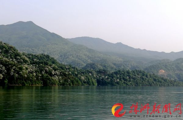 downLoad-20190520084644