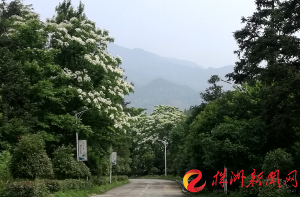 downLoad-20190520084635