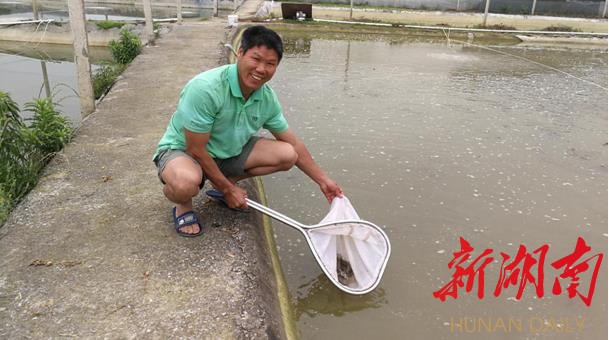 致富养殖泥鳅图片_致富养殖泥鳅怎么样_致富经泥鳅养殖