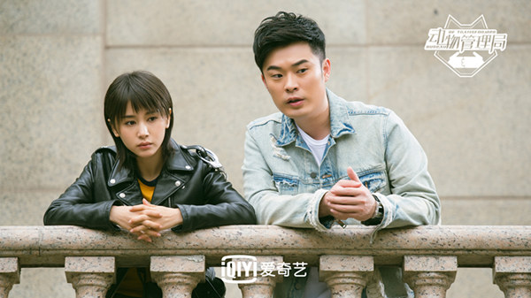 《动物管理局》恶性案件让人胆战心惊 陈赫王子文“土鸡汤”发人深省