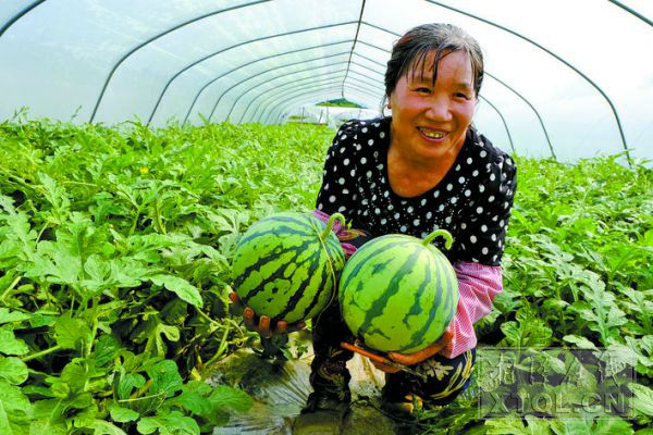 0e5edfc9-1144-4e50-9bea-b6884b677329