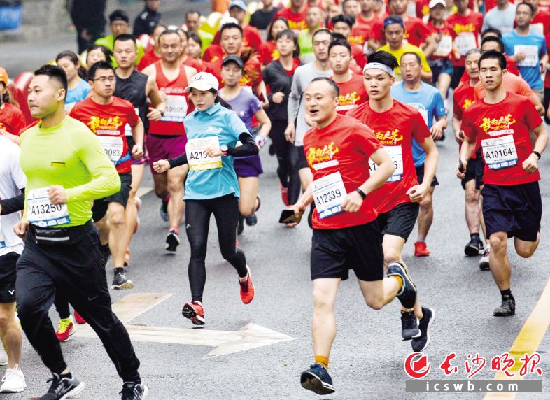421վе潭2019ɳȫڵĻ ɳȫý  
