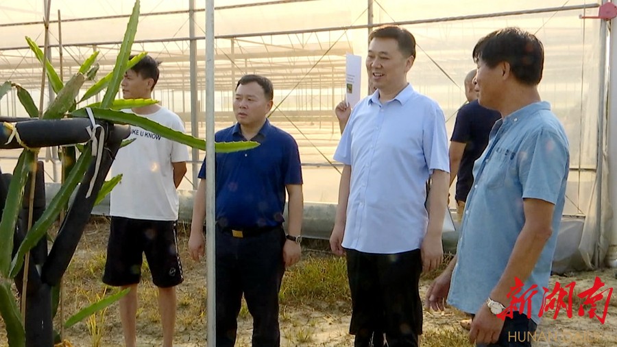 县委常委,县委办主任张志红参加走访并对相关工作进行了现场调度.