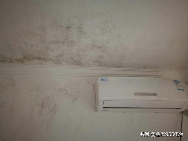 我是长沙哪里人？无处安放的“悦湖山”