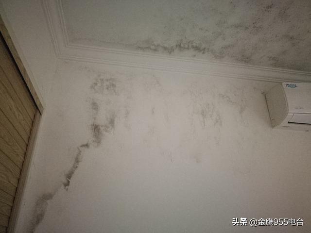 我是长沙哪里人？无处安放的“悦湖山”
