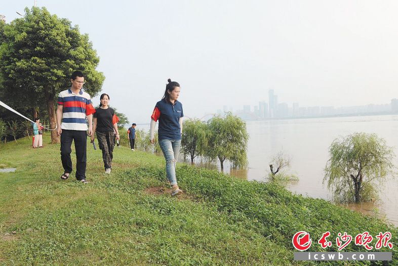 7月10日19时许，开福区芙蓉北路街道志愿者在湘江大堤巡查。长沙晚报全媒体记者 石祯专 摄