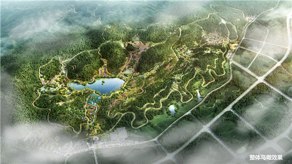 象鼻窝森林公园项目整体鸟瞰效果。