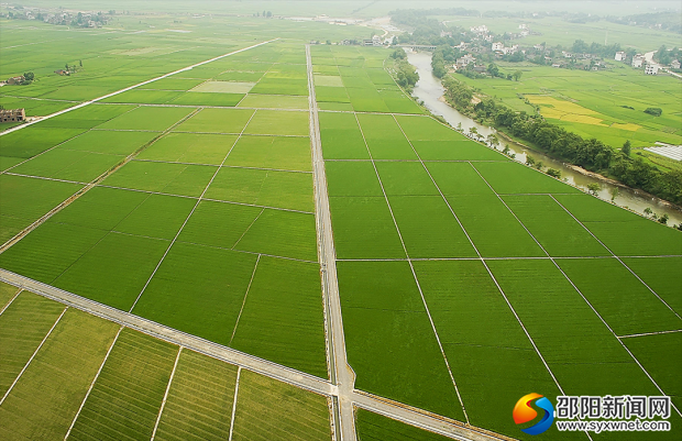 武冈云山高标准农田建设项目区（资料图）