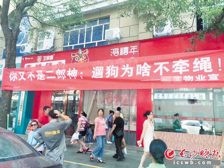 长沙某小区附近接连发生恶狗伤人事件，物业迅速挂出了横幅进行提醒。网友小千 供图