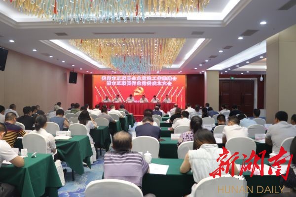 (8月15日，娄底市互联网企业党建工作推进会暨互联网行业党委成立大会召