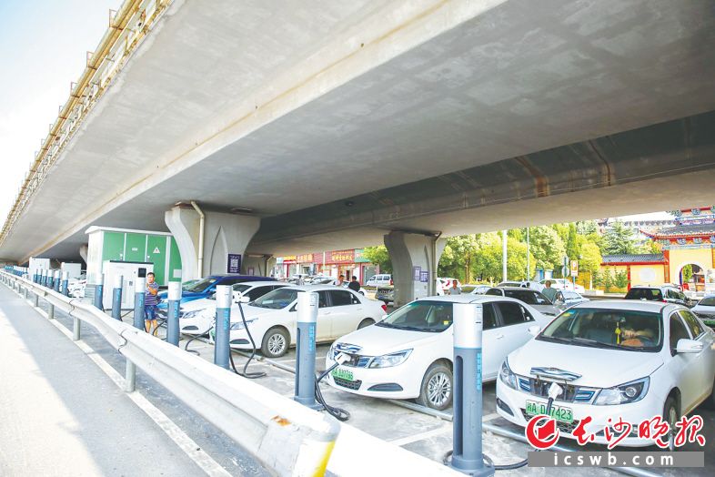 新能源汽车充电站内停满了前来充电的新能源汽车。长沙晚报通讯员 曾诗怡 摄