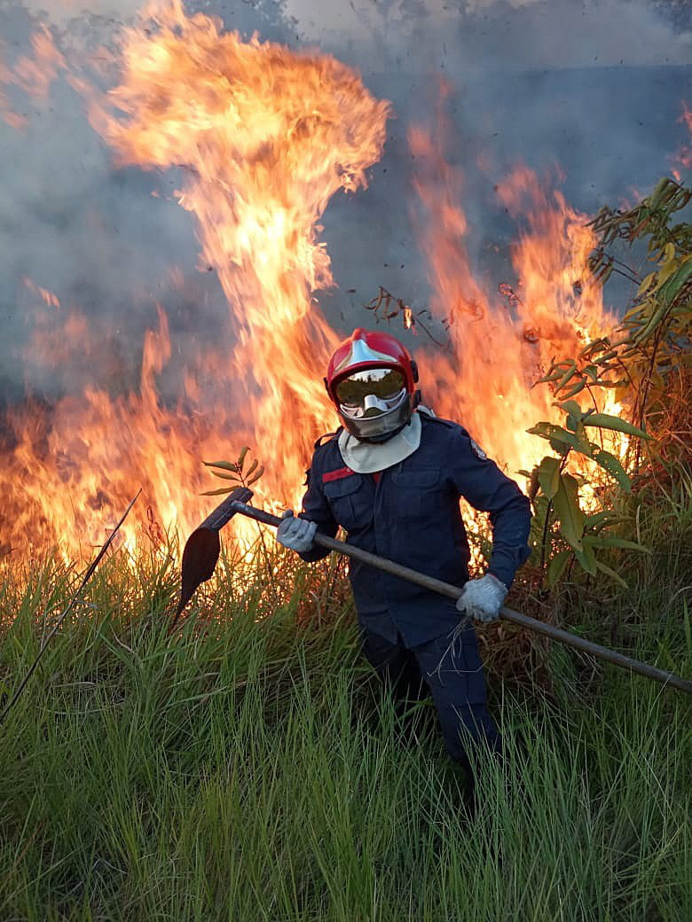 亚马逊森林大火持续数日 巴西圣保罗白天变黑
