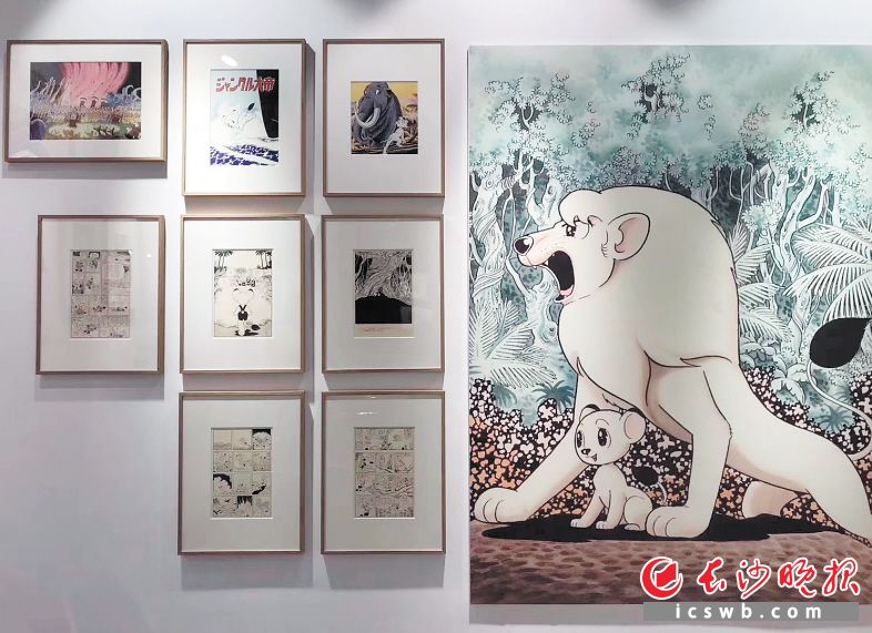 手冢治虫漫画展即将在谢子龙影像艺术馆开展。