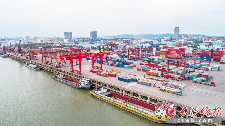 目前，长沙的水路已开辟国际集装箱内支线7条，每周进出口国际集装箱航班40多个。长沙晚报全媒体记者 邹麟 摄