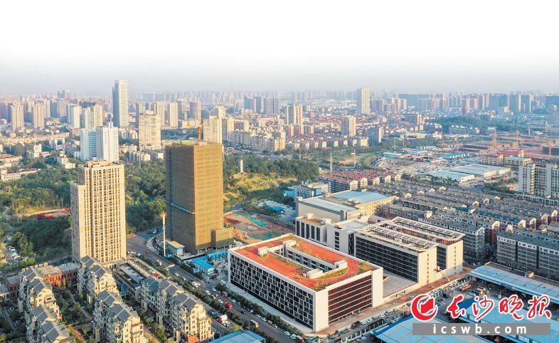 正在建设的湖南“工美大厦”和湖南工艺美术职业学院湘绣科教园校区。 邹麟 摄