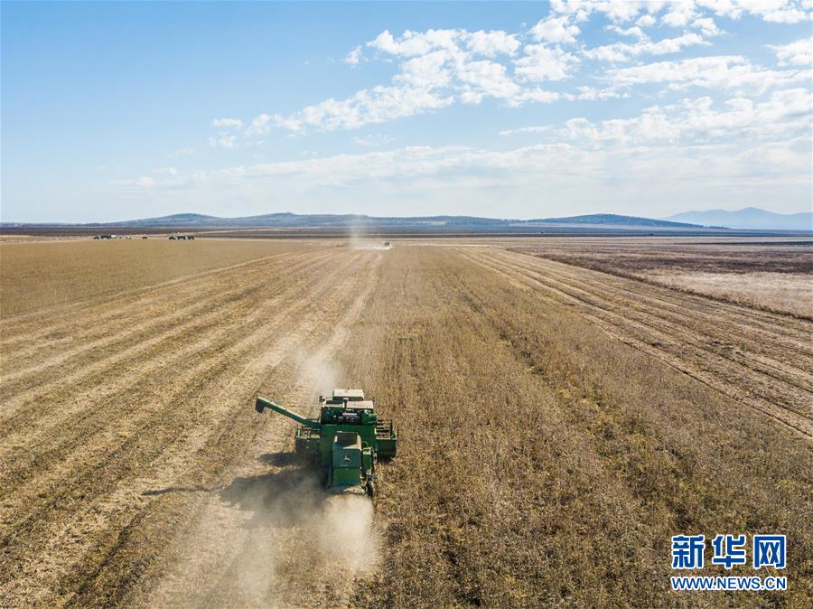 (新华全媒头条·图文互动)(14)特稿:新时代 新典范 新航程——写在中俄建交70周年之际
