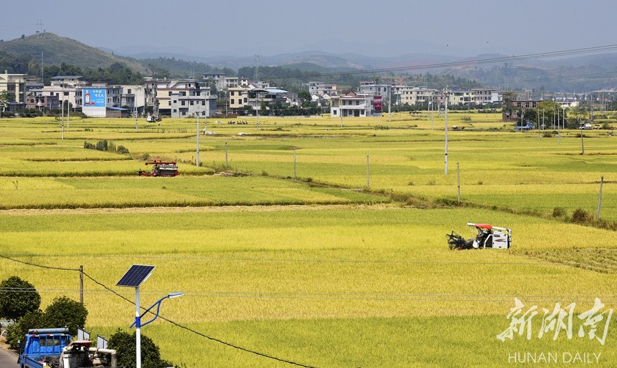 跨省作业 助力收割 新湖南www.hunanabc.com