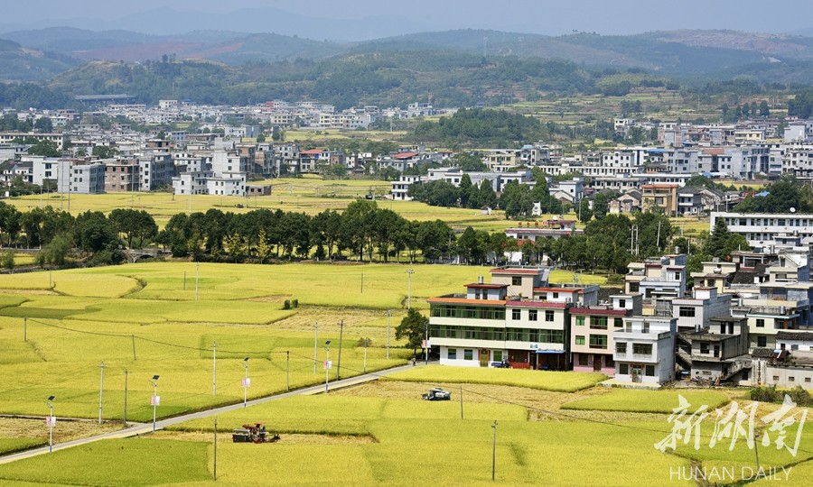 跨省作业 助力收割 新湖南www.hunanabc.com