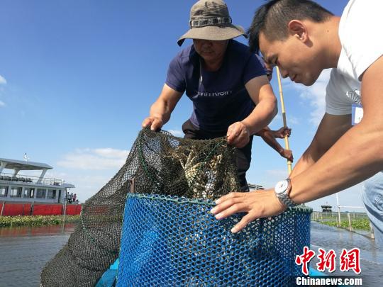 阳澄湖大闸蟹开捕时间错过黄金期 蟹农全力备战重阳节 新湖南www.hunanabc.com