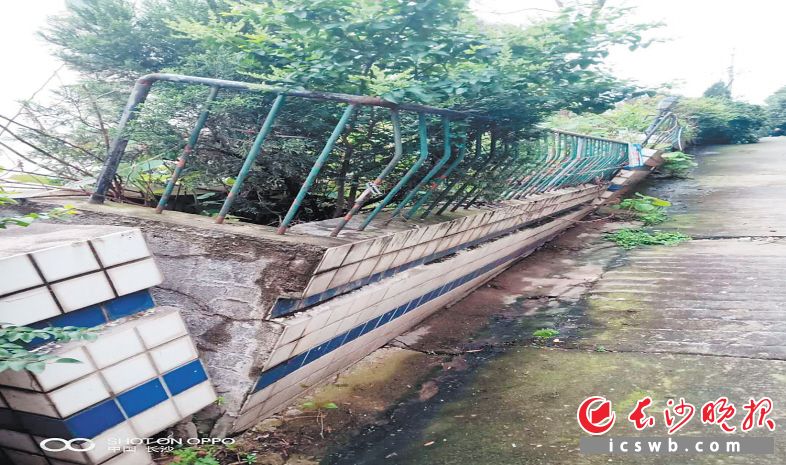 →边坡护墙倾斜严重（改造前）。均为长沙晚报全媒体记者 邹麟 摄