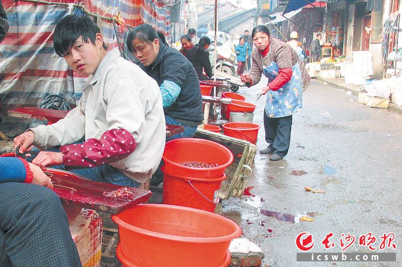 ↑2003年2月19日，西长街上的水产经营者正在忙碌。长沙晚报全媒体记者 贺文兵 摄