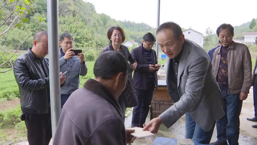 澧县县委书记廖可元深入甘溪滩镇,码头铺镇调研