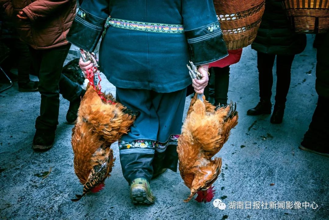 梁永鸿:抓拍瞬间的感动 新湖南www.hunanabc.com