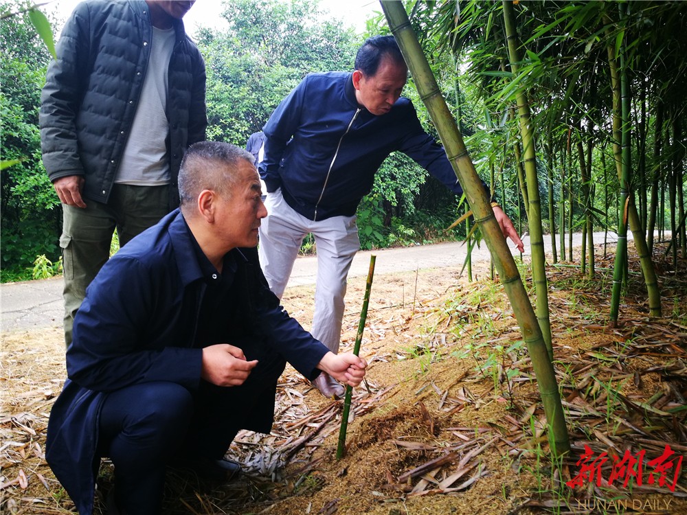 花垣县委常委,县委政法委书记彭志富带队考察竹鼠养殖项目罗国平向