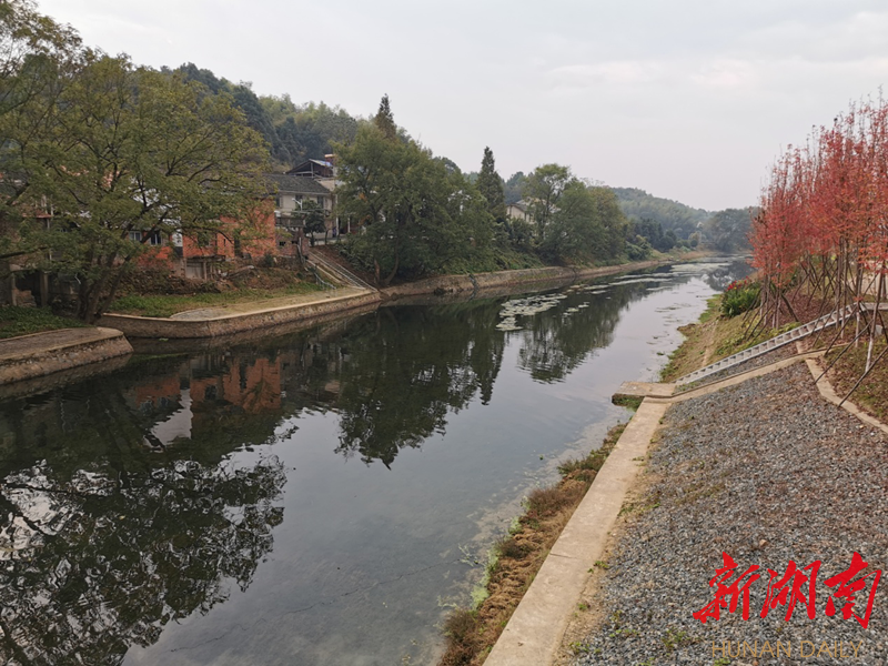 长沙县高桥镇:治水与产业并进,清水与收入同来