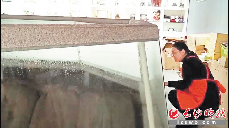 老板娘林女士很担心玻璃罩内的南宋涵渠受水汽影响。 长沙晚报全媒体记者 朱炎皇 摄