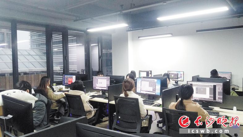 长沙伊恩文化传播有限公司是一家动漫加工、制作企业。由于国家提高增值税小规模纳税人起征点，公司不用再缴纳企业增值税，资源税、城市维护建设税、印花税、城镇土地使用税、耕地占用税等地方税种都减半征收。受访者供图