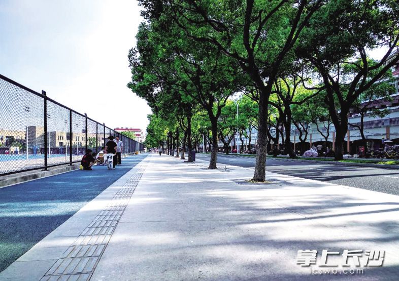 提质改造后的麓山南路,今年迎来了交通路网的全面升级。