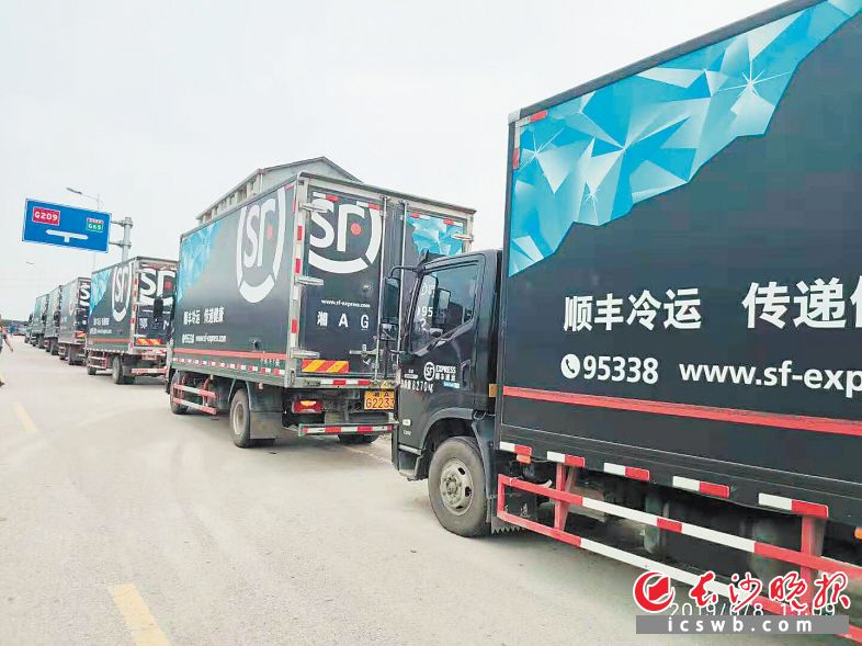 ▲近年来,长沙冷链物流市场吸引众多企业进行布局。图为顺丰冷运车辆。长沙晚报通讯员 李卫华 供图