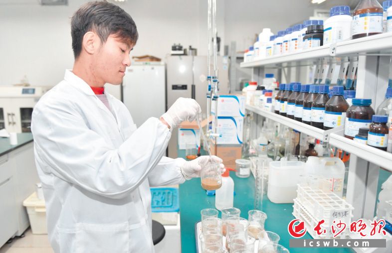 项目科研团队在攻关疏浚土环保处置与资源化技术。长沙晚报全媒体记者 邹麟 摄