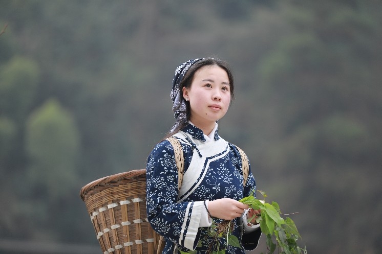 采药姑娘 - 美女 - 新湖南