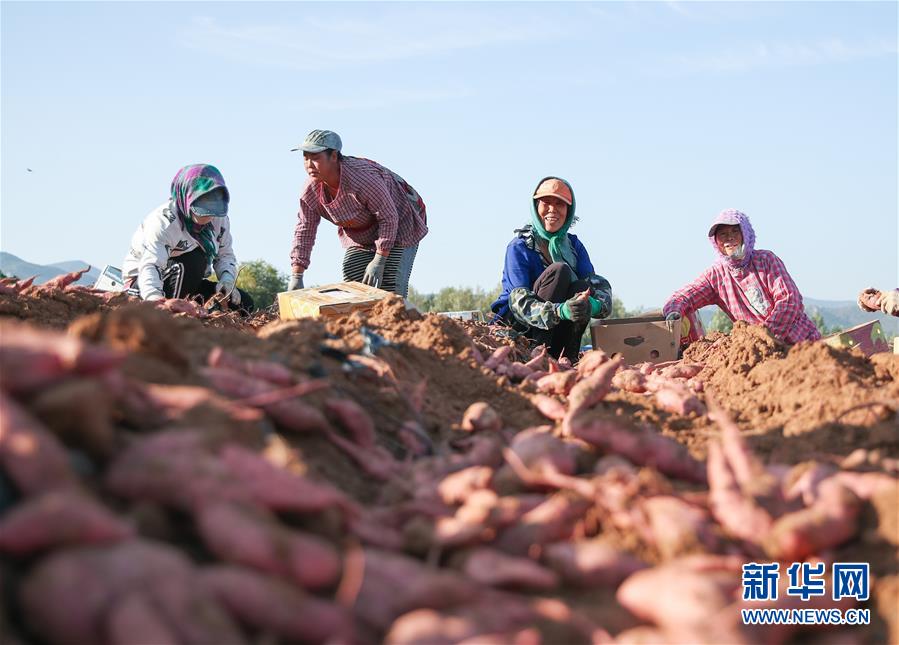 (在习近平新期间中国特色社会主义思惟指引下——新期间新作为新篇章总布告眷注高质量成长图文互动)(2)翻过“贫苦”山,通向“幸福”站——脱贫攻坚“歼灭战”里的小故事