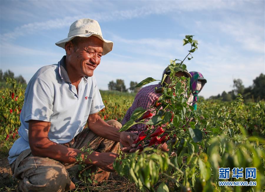 (在习近平新期间中国特色社会主义思惟指引下——新期间新作为新篇章总布告眷注高质量成长图文互动)(1)翻过“贫苦”山,通向“幸福”站——脱贫攻坚“歼灭战”里的小故事