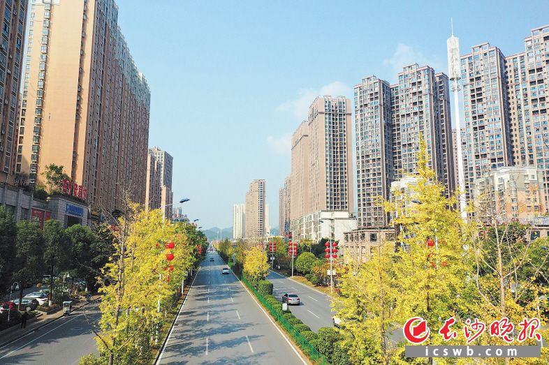 &emsp;&emsp;浏阳蓝正成为“常态蓝”。彭红霞 摄