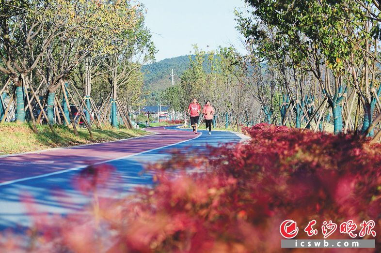 &emsp;&emsp;浏阳河畔的绿道上，市民在慢跑。彭红霞 摄