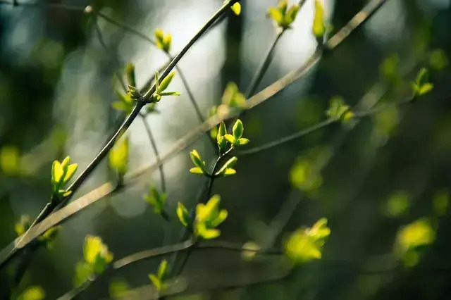 惊蛰丨春雷响万物长