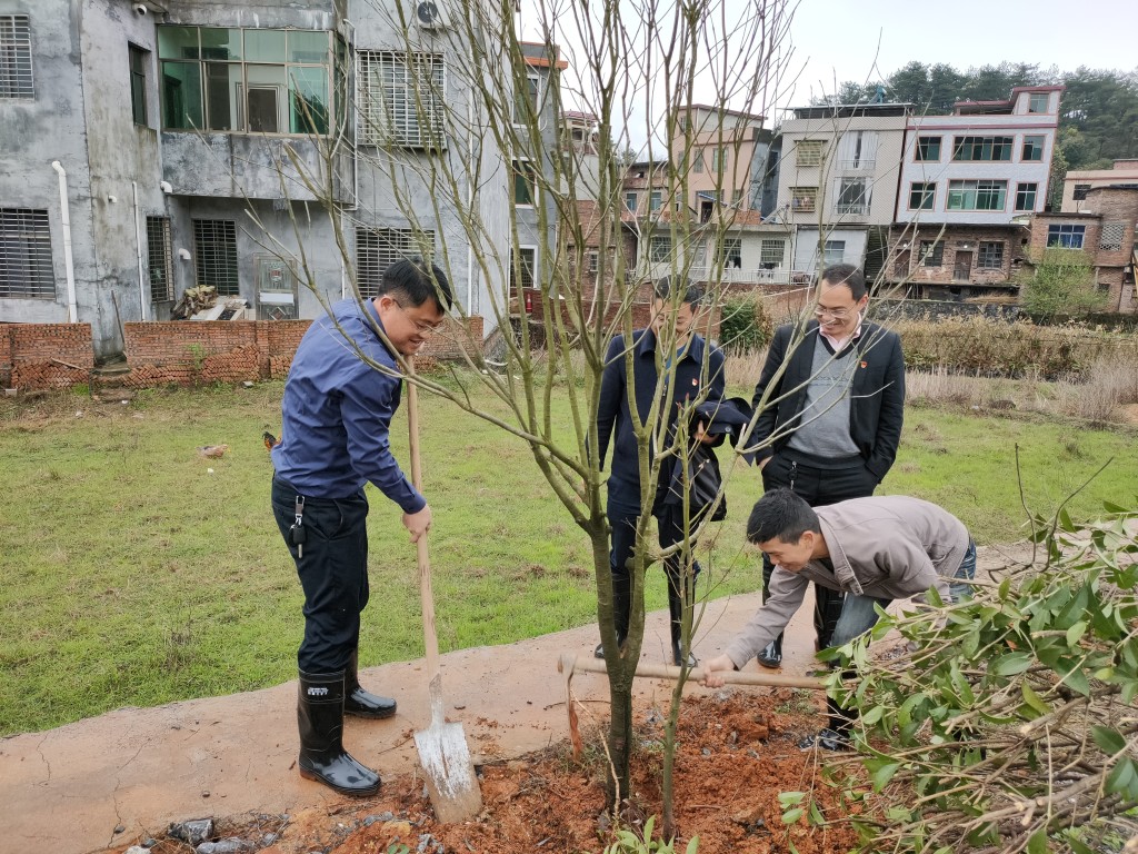 临武万水乡:移民村里添新绿