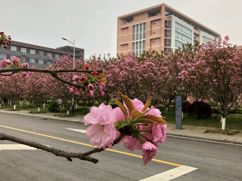              张淑芳摄于怀化学院