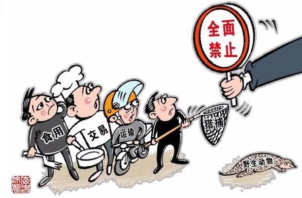 5分排列3-5分时时彩版“禁野令”等提请审议