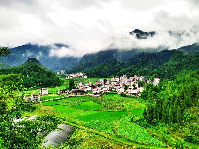6月19日,龙山县茅坪乡水沙坪村.曾凡勇 摄