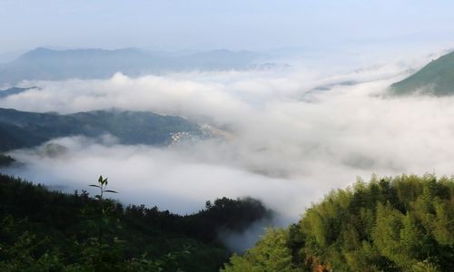 �齭���������