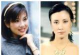 TVB40��ʮ�󾭵仨��