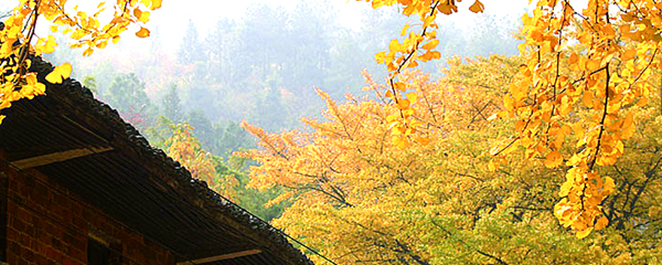 湖南印象｜乡村旅游节 火热一冬