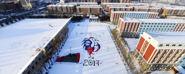 “金鸡”迎新年！学生创作30米雪地画作