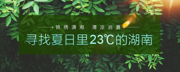 “寻找23℃的湖南”之三|洞庭南岸 凉风徐来